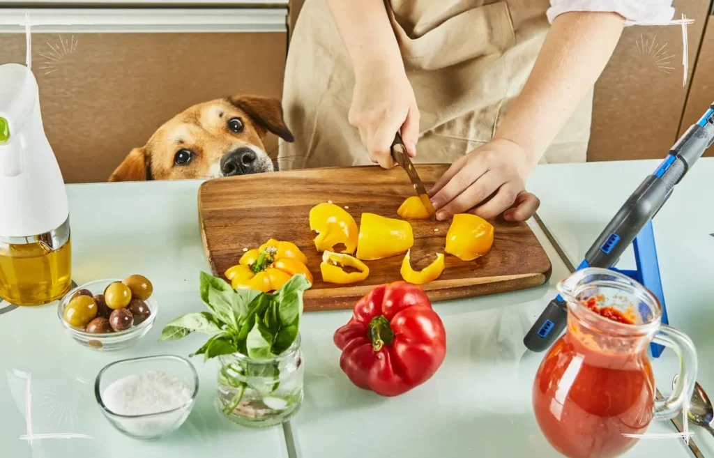 Die Gesundheit deines Hundes wird langfristig gestärkt, wenn du auf eine frische und darmfreundliche Ernährung achtest.