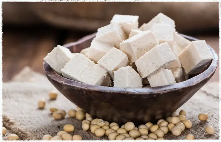Vegane Hundeernährung - Tofu ist eine wichtige Grundlage und Hauptlieferant für Proteine