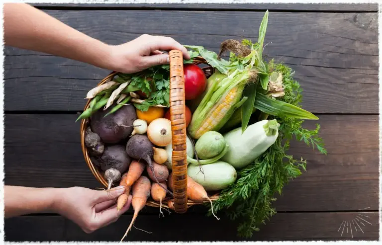 Vegan für Hunde - Gemüse stärkt die Darmflora