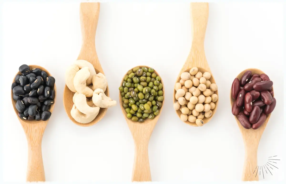 Proteine nehmen in der veganen Hundeernährung eine entscheidende Rolle ein.