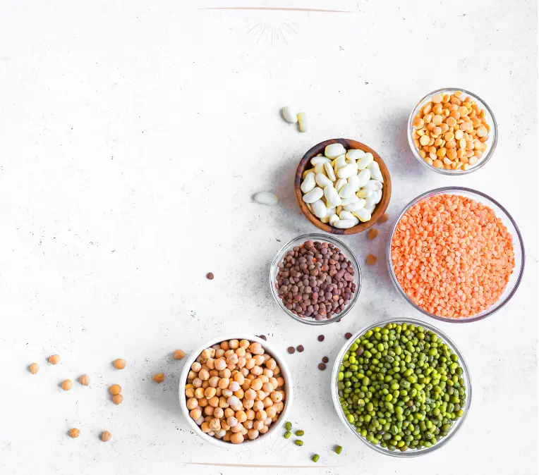 Hülsenfrüchte sind die beste Proteinquelle in der veganen Hundeernährung
