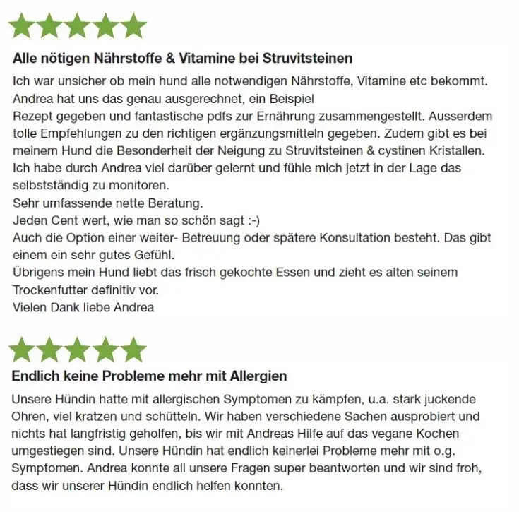 Die vegane Hundeernährung hat bereits vielen Hunden geholfen.