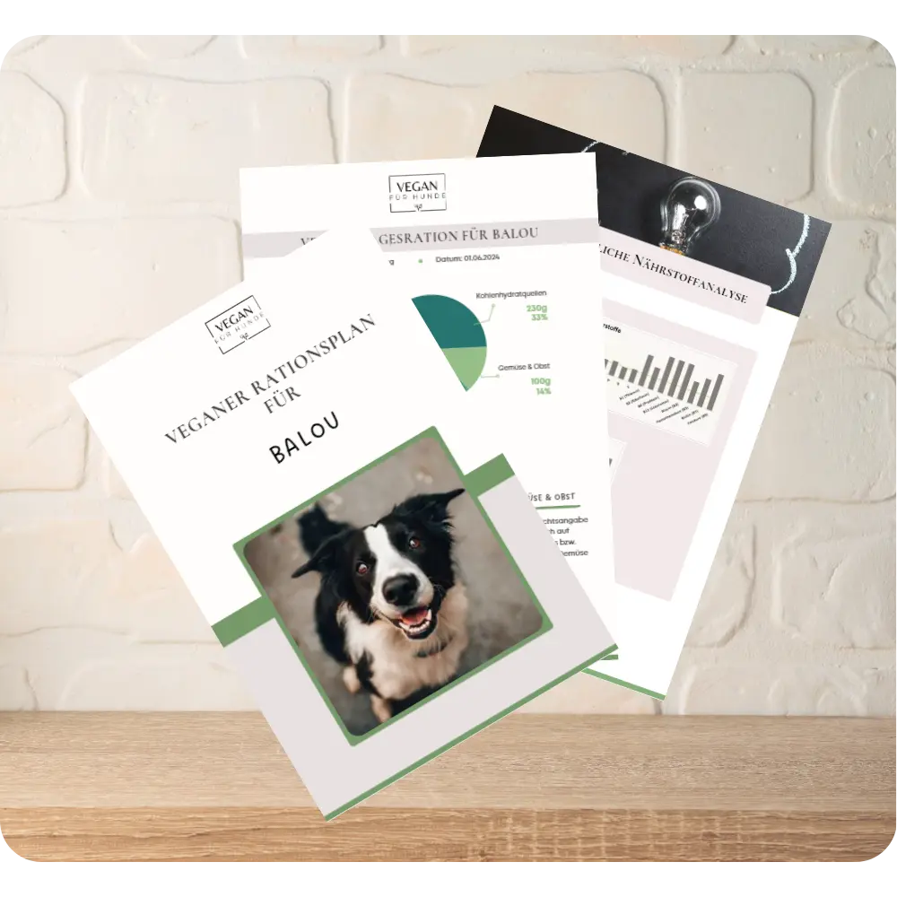 Vegan für Hunde - der Rationsplan für deinen Hund