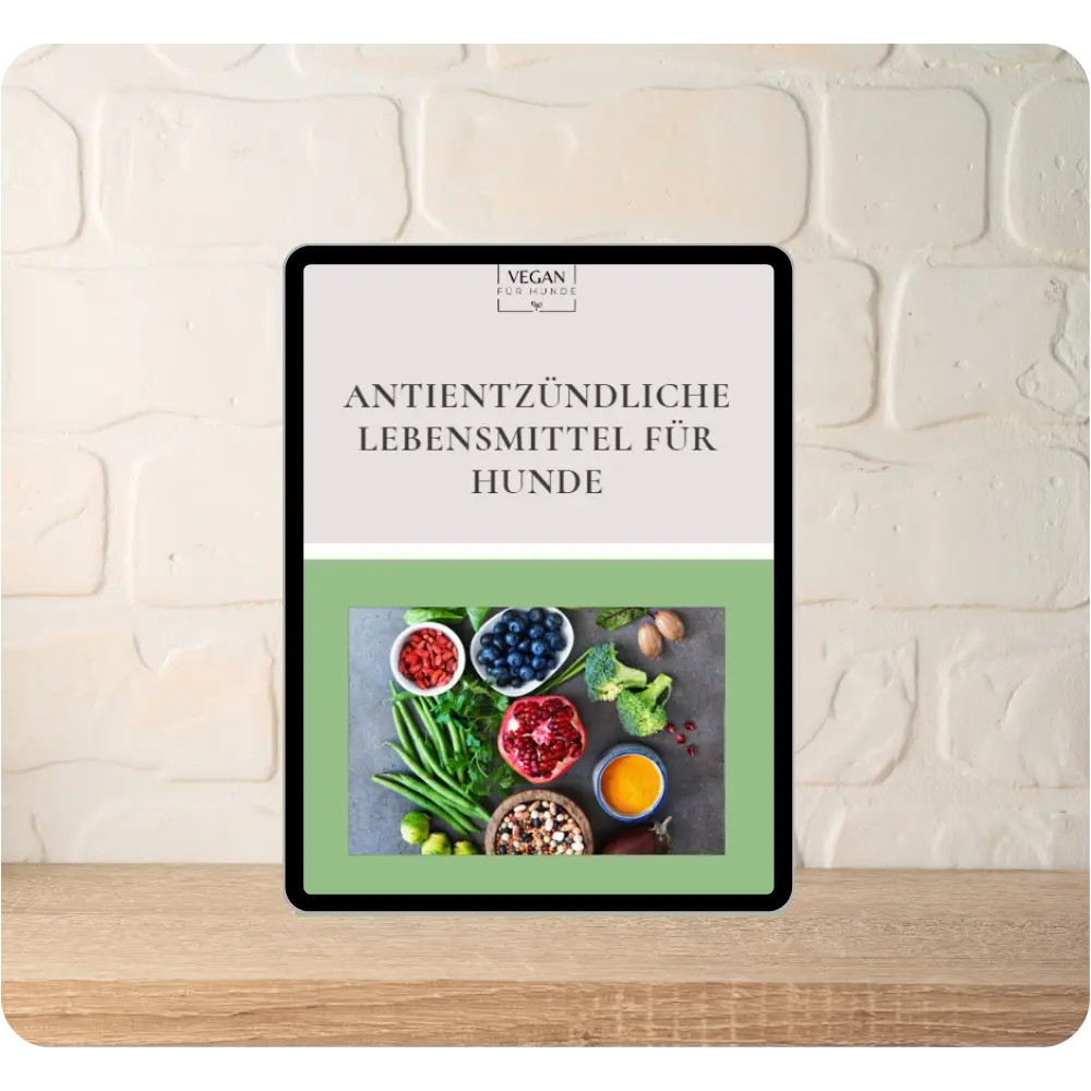 Vegan für Hunde - Antientzündliche Lebensmittel für Hunde