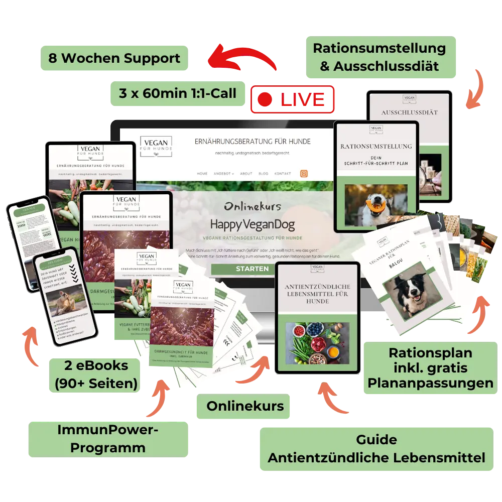 Vegan für Hunde - Rezepte, Onlinekurs, Rationsplan und eBook