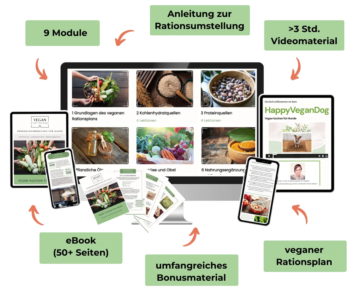 Der Onlinekurs HappyVeganDog beinhaltet viele zusätzliche Inhalte zum Herunterladen