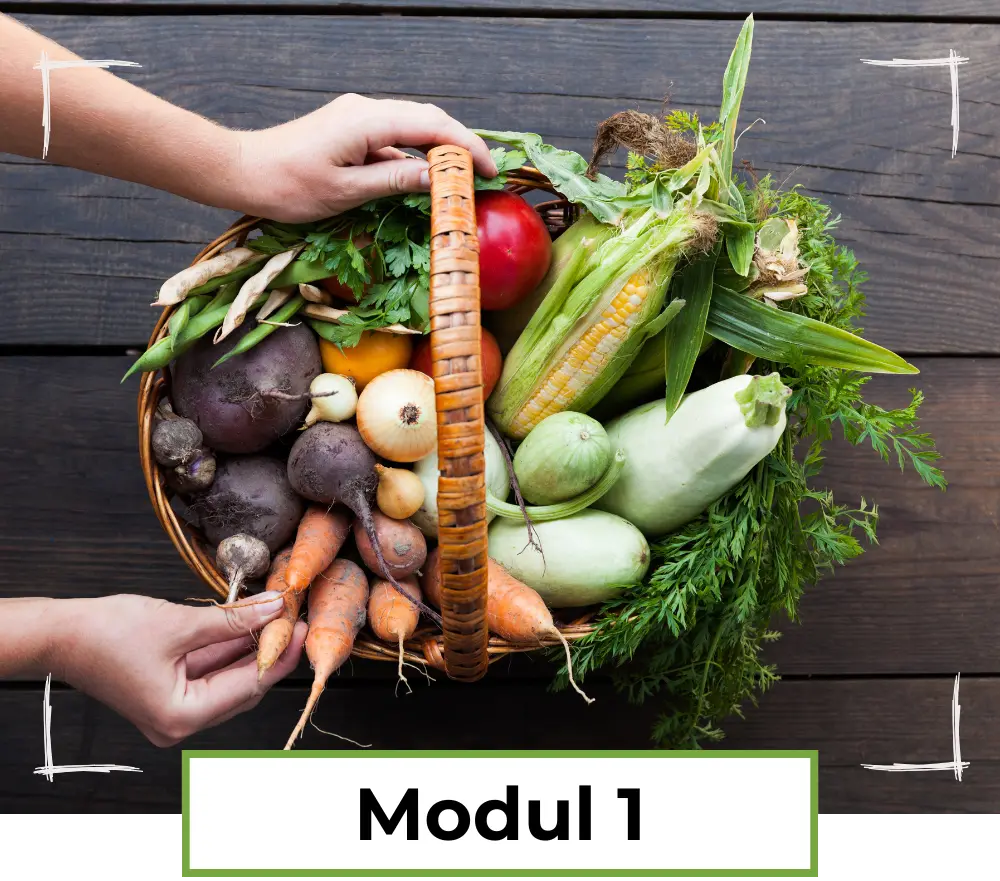 Modul 1 - die Grundlagen des veganen Rationsplans