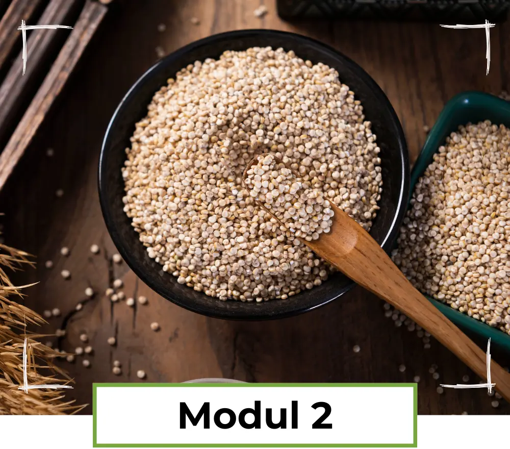 Modul 2 - Kohlenhydratquellen
