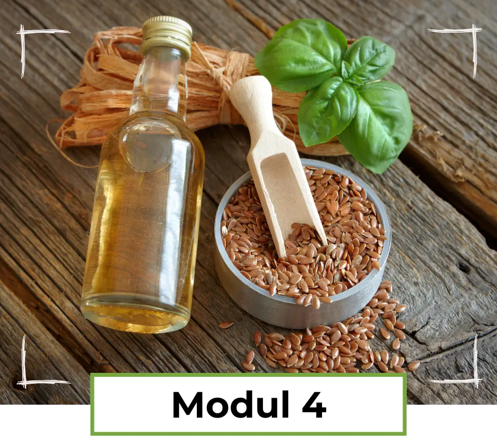 Modul 4 - Pflanzliche Öle