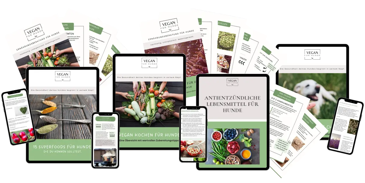 Vegan für Hunde bietet für den Einstieg eine Vielzahl an Ebooks zur veganen Hundeernährung