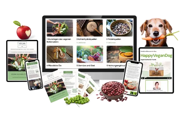 Der beste Onlinekurs zur veganen Hundeernährung