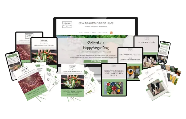 Das Power-Paket von Vegan für Hunde - wenn du mehr Unterstützung für deinen kranken Hunde brauchst