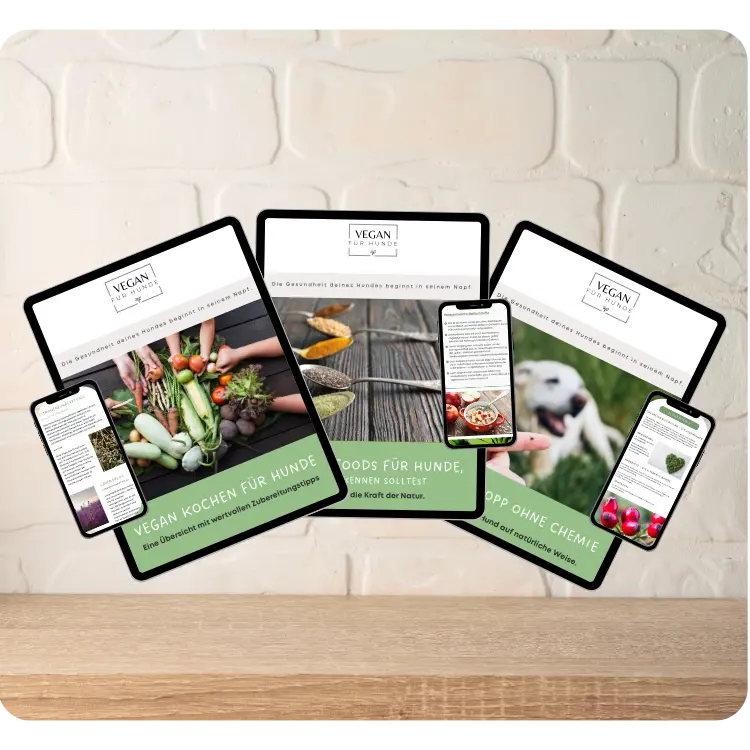 Kennst du schon meine eBooks und Guides?