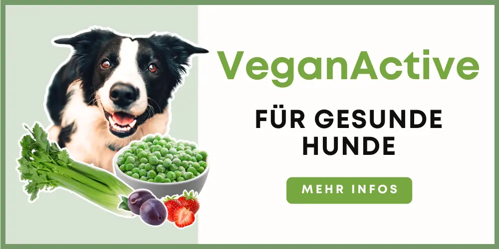 Vegan für Hunde - VeganActive - Nie wieder Unsicherheit! Werde zum Profi für die vegane Ernährung deines Hundes!