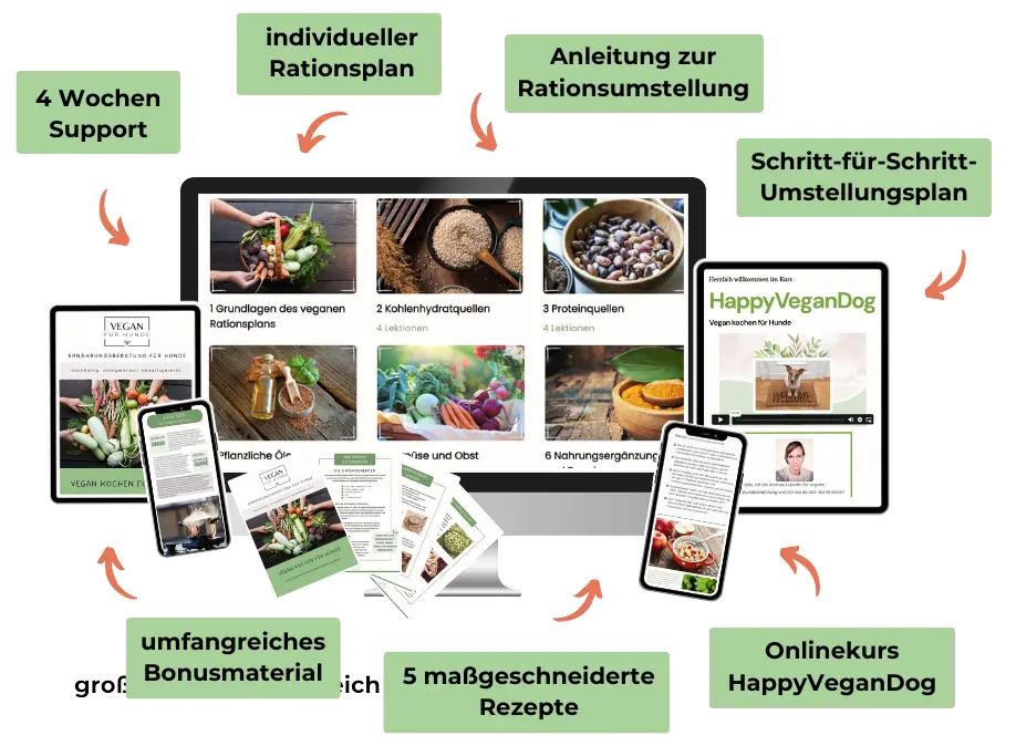 VeganActive bietet dir umfangreichen Support