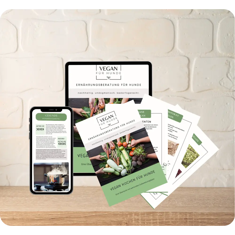 50+ Seiten voller Infos zum veganen Kochen für Hunde