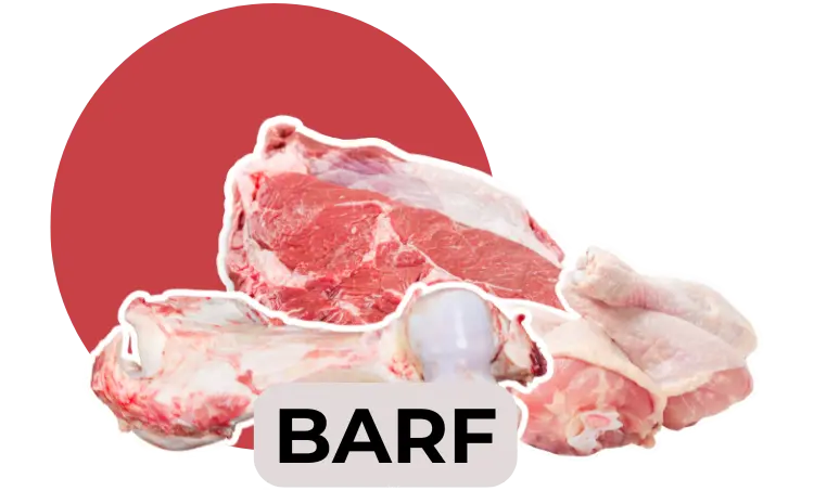 Barfen ist in Hinblick auf Tierwohl und Umweltschutz nicht sinnvoll