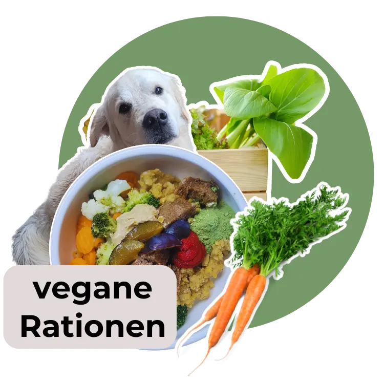 Vegan für Hunde - vegane Rationen sind schnell und einfach zubereitet
