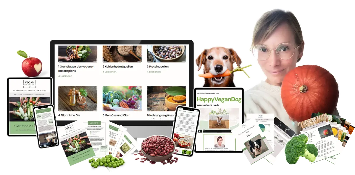 Vegan für Hunde - meine Leistungen zur veganen Hundeernährung