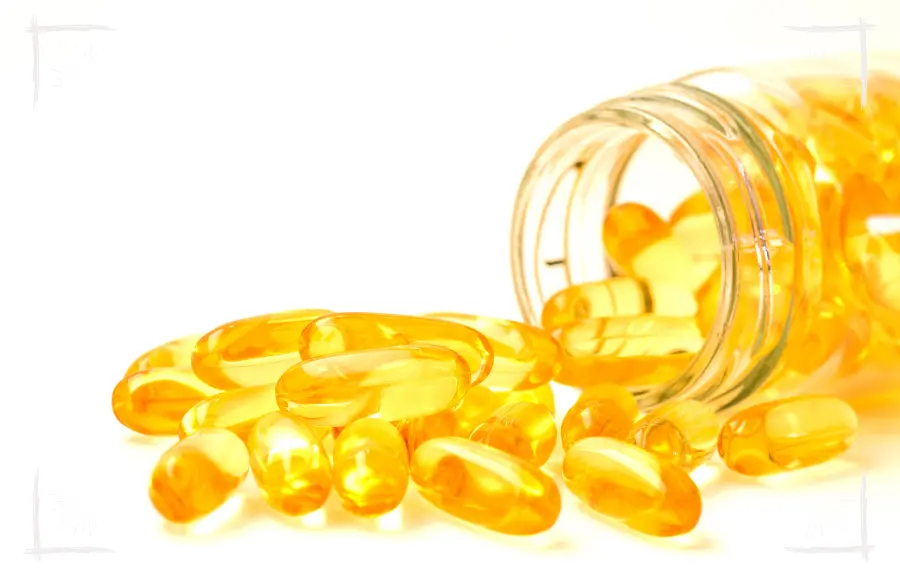Nachhaltige Hundeernährung - Algenölkapseln als pflanzliche Omega-3-Quelle für Hunde