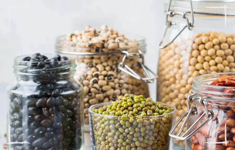 Hülsenfrüchte sind gesundes, veganes Hundefutter