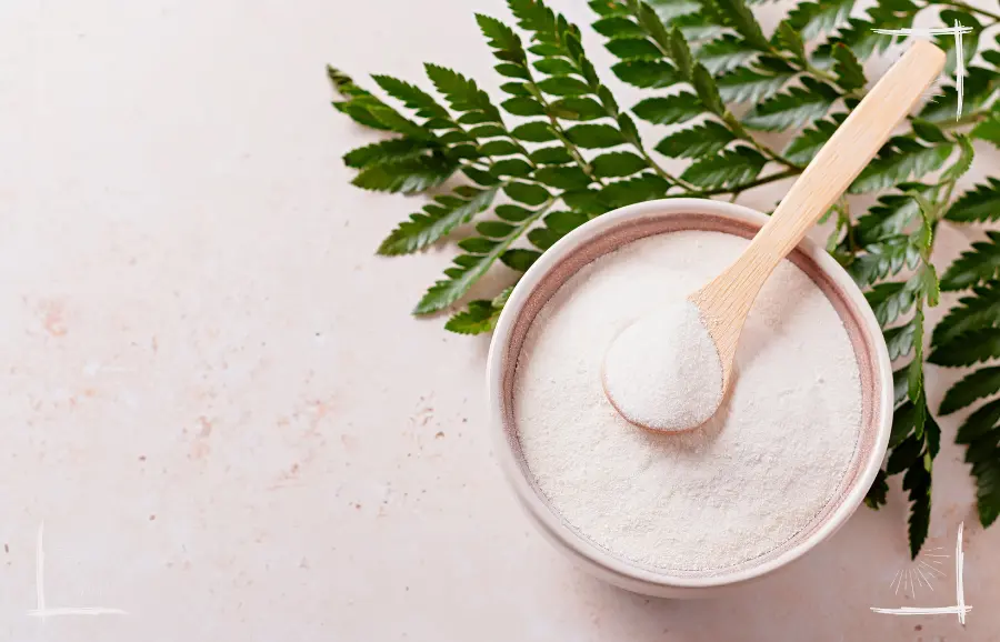 Vegane Ergänzungsmittel für die bedarfsdeckende, nachhaltige Hundeernährung