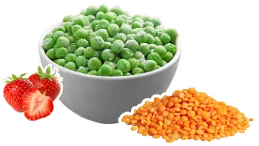 Vegane Proteinpower für Hunde - Inhalte Modul 2