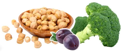Vegane Proteinpower für Hunde - Inhalte Modul 3